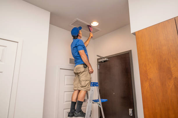 Best Ventilation Cleaning Services  in Morrisville, NY